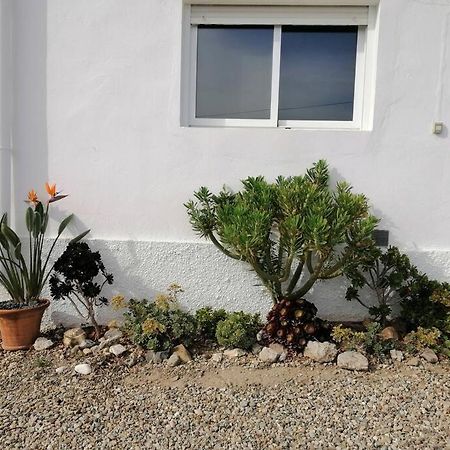 卢凯内纳-德拉斯托雷斯Casa Jardin. Vivienda Rural En Zona Tranquila.别墅 外观 照片