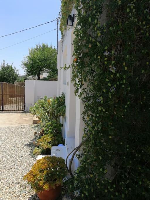 卢凯内纳-德拉斯托雷斯Casa Jardin. Vivienda Rural En Zona Tranquila.别墅 外观 照片