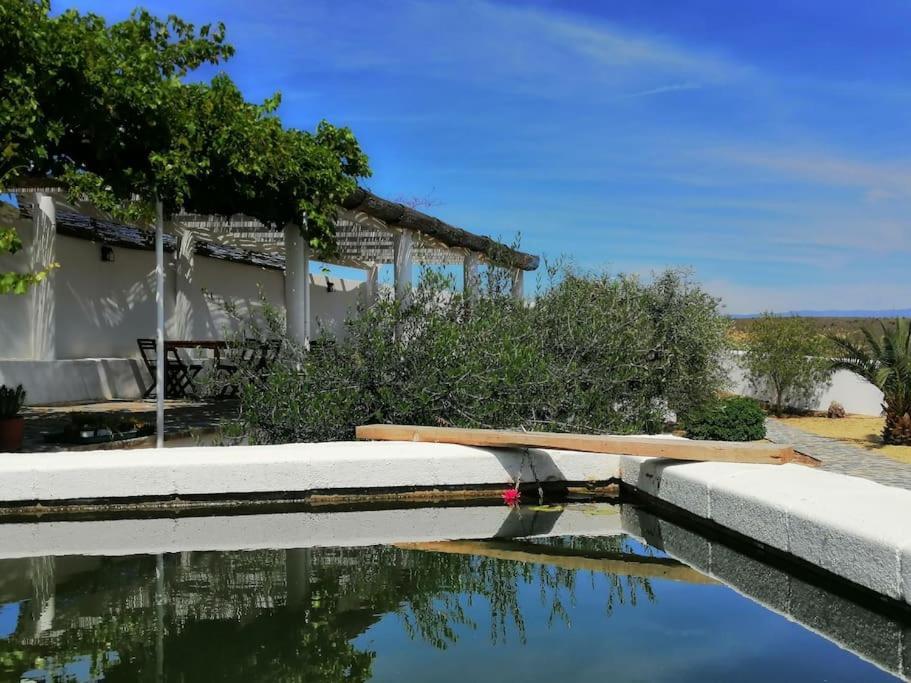 卢凯内纳-德拉斯托雷斯Casa Jardin. Vivienda Rural En Zona Tranquila.别墅 外观 照片