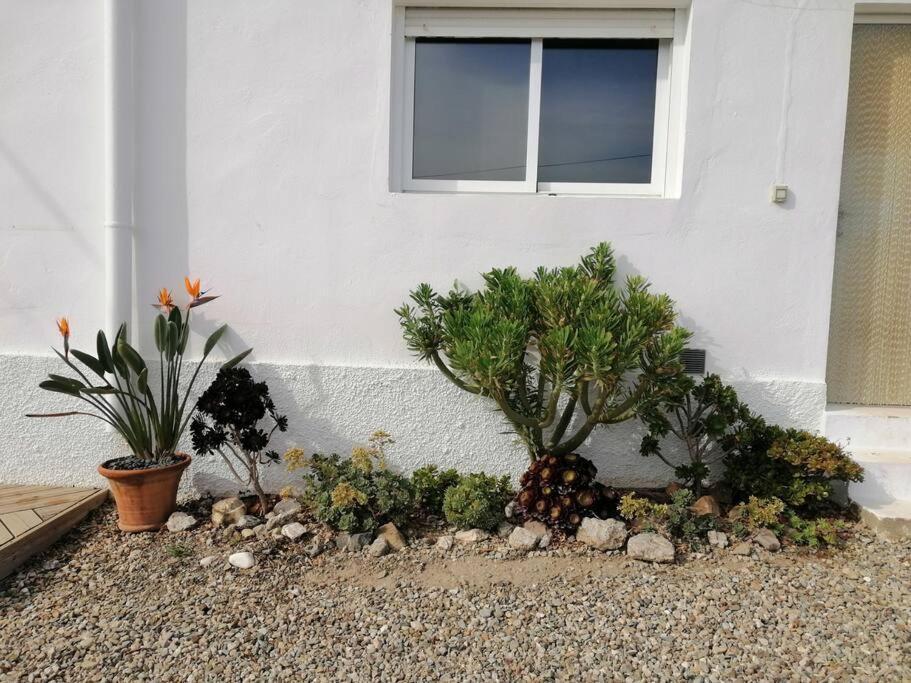 卢凯内纳-德拉斯托雷斯Casa Jardin. Vivienda Rural En Zona Tranquila.别墅 外观 照片
